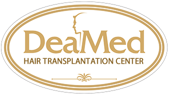 Программа обучения